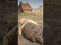 Insane Lion Attack Out of Nowhere in RDR2 😱 #shorts #gaming #viral