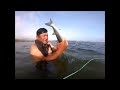 Pesca de LISAS en LAGUNA#mullet fishing in lagoon