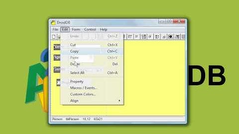 Building a Custom DroidDB Form