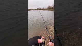 Осень, река, окунь.🎣#fishing #рыбалка #окунь #мормышинг #щука