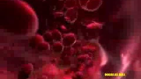 Rotation - Animation Test, MEL scripting in Maya