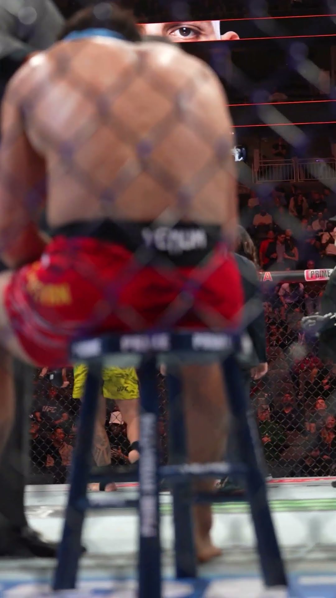 Brunno Ferreira gets the ARMBAR FINISH ? #ufc313
