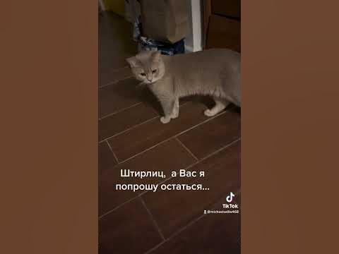 Штирлиц, а Вас я попрошу остаться… - YouTube