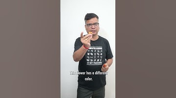 What Are Objects in OOP? | Simplified Explanation for Beginners | Dr. Santosh Kumar