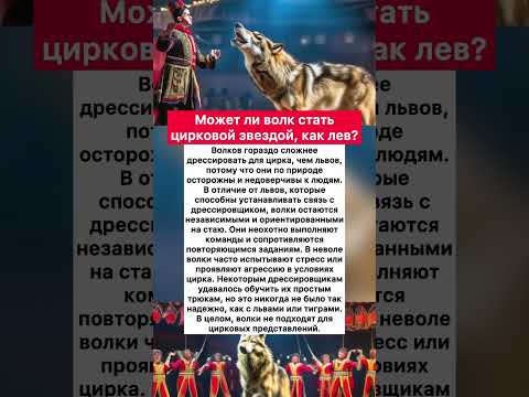 Может ли волк стать цирковой звездой, как лев? #хочуфакты #интересное #юмор #факты