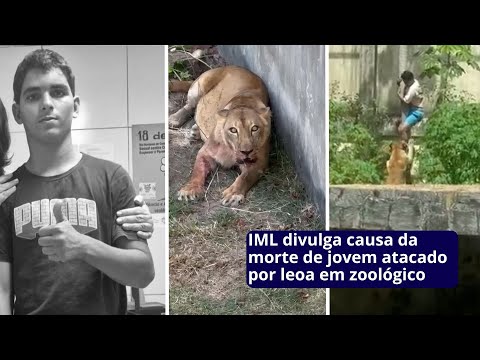 IML divulga causa da morte de jovem atacado por leoa em zoológico