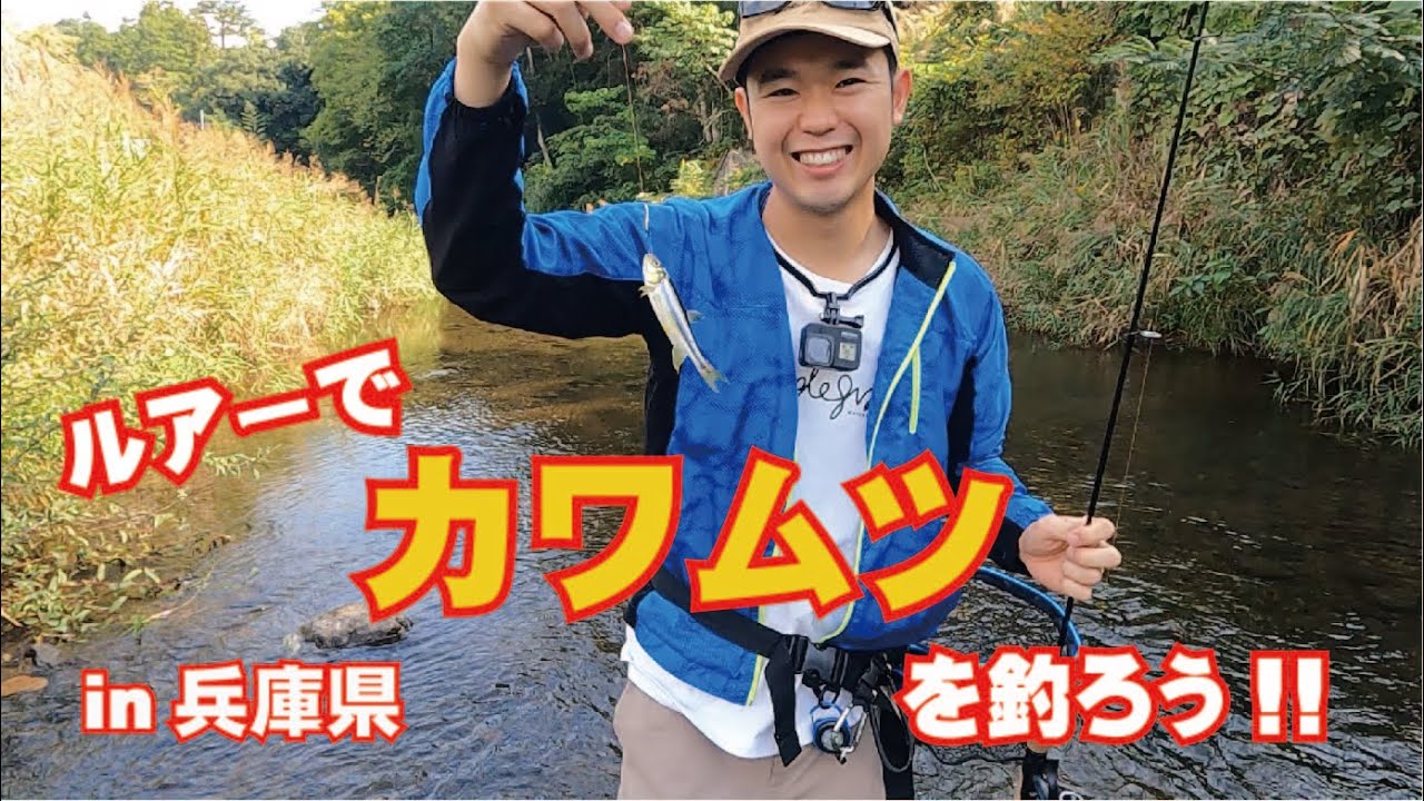 【なななFish】ルアーで狙う！楽しいカワムツ釣り！【ゴールデンミーン】