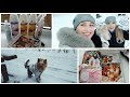 VLOG: Обзор посылки ФАБЕРЛИК 🔥КАТАЛОГ БОЛЬШИЕ СКИДКИ 🔥 ЙОРК Первый раз увидел снег❄️🐾