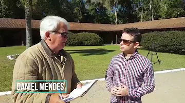 O que fazer com potro prematuro?