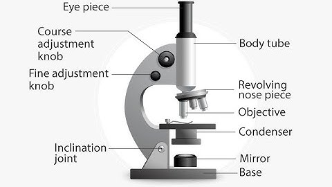 Microscope Principle |Magnification |Light microscopy | Properties of light