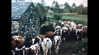 A West Country Farm