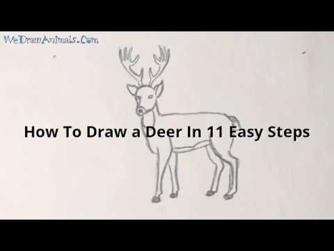 How to Draw a Deer In 11 EASY Steps - GREAT for Kids & Beginners - YouTube