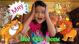 Развивающее видео для детей Все Обо Всем с Викой Клубникой. Выпуск 3. Как кошки видят в темноте? Развивающее видео для детей Все Обо Всем с Викой Клубникой. Выпуск 3. Как кошки видят в темноте?