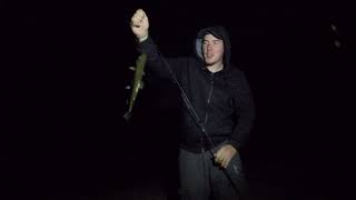 Trout Fishing A Honey Hole In Pennypack Creek