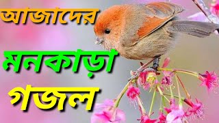 আজাদের মনকাড়া গজল । Tar Niamoter Shukria । তার নিয়ামতের শুকরিয়া । azad song। new ghazal ।