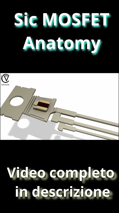 Sic MOSFET Anatomy Feat.  @Not-Only-Reaper-Tutorials