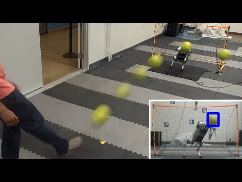 Creating a Dynamic Quadrupedal Robotic Goalkeeper with Reinforcement Learning