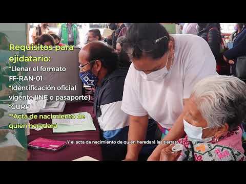 ¿Cómo puedes realizar tu Lista de Sucesión o Testamento Agrario?