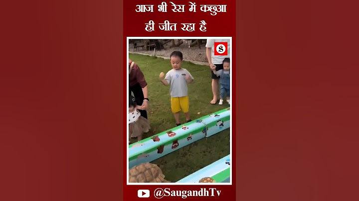Tortoise Race : आज भी रेस में कछुआ ही जीत रहा है #shorts #shortvideo #racing #fastest #tortoise