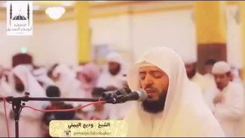 تلاوة قصيرة بصوت القارئ || وديع اليمني