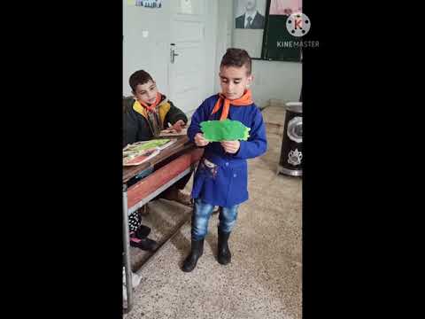 نشاط من درس جرة الفخار وجرة الحديد