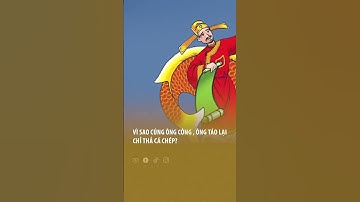 Vì sao cúng ông Công, ông Táo lại chỉ thả cá chép?