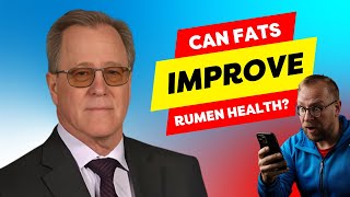 Palmitic and Oleic Acid for Rumen Bacteria - Dr. Jeff Firkins