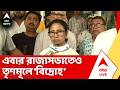 Mamata Banerjee : লোকসভায় ২৮ জন সাংসদের মধ্য়ে মমতার পাশে শুধু ৪ জন ? কী খবর সূত্র মারফৎ ?