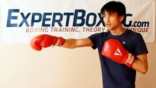 Common Traits Found in Talented Beginner Fighters