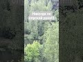 НЕ ОПУСКАЙ РУКИ! #хочуврек #топ #цитатыпрожизнь ##реки #цитатыосмысле #shots #vlog #rek #хочуврек