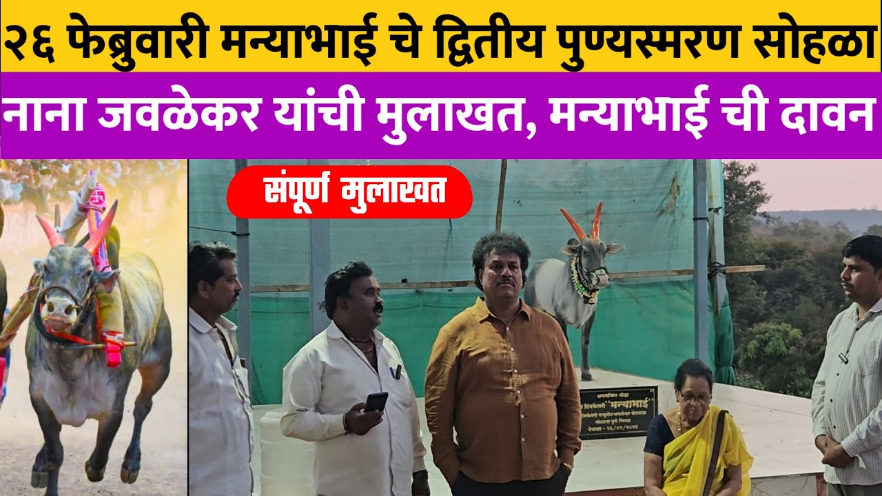 नाना जवळेकर यांची मुलाखत हिंदकेसरी मन्याभाई ची द्वितीय पुण्यस्मरण कसे करणार ! bailgada sharyat  