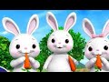 "🎶 Bunny's Hop: The Funniest Nursery Rhyme for Kids! 🐰 Sing-A-Long &amp; Dance!"