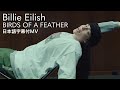 【和訳】ビリー・アイリッシュ- BIRDS OF A FEATHER / Billie Eilish【HIT ME HARD AND SOFT】