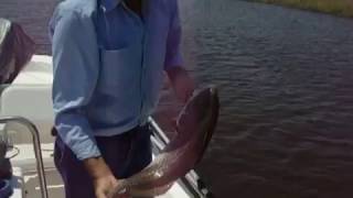 Redfish Run