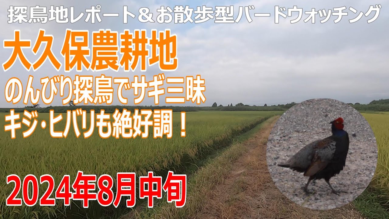 大久保 農耕 地