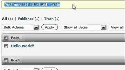 Editing WordPress Posts | WordPress Training Videos