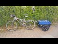 DURAMAXX BIG BLACK MIKE, Rimorchio per bici carretto simpatico e funzionale