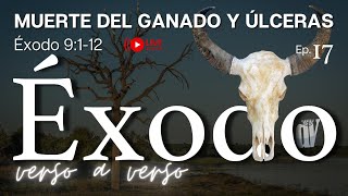 [#17] Las plagas de   MUERTE del ganado y las ÚLCERAS de fuego  [Éxodo 9:112]