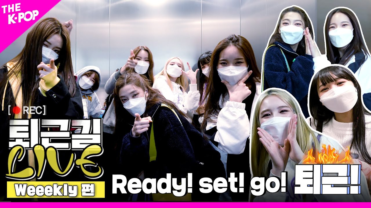 [퇴근길 LIVE 4K] 자유로운 퇴근인 걸~🌸 위클리(Weeekly)의 방과후(?!) 퇴근길 현장❤️