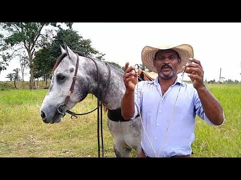 Vídeo: Ferramentas de treinamento de cavalos: Martingales