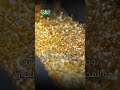 العراق سيشهد إنشاء مدينة الذهب العالمية في بغداد العراق سيشهد إنشاء مدينة الذهب العالمية في بغداد