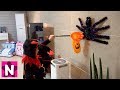 뉴욕이의 할로윈 장난감 거미 찾고 사탕 얻기 놀이 뉴욕이랑 놀자 Halloween Toy and Candy NY Toys