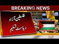 Un assembly approves resolution granting palestine new rights  pakistan news  latest news