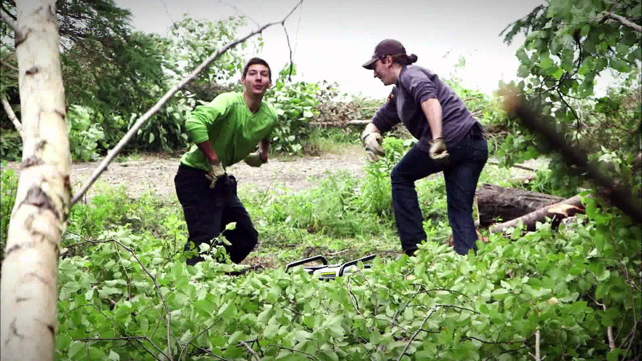 OAK ISLAND E IL TESORO MALEDETTO Nella Palude Stregata YouTube OAK ISLAND E IL TESORO MALEDETTO Nella Palude Stregata YouTube
