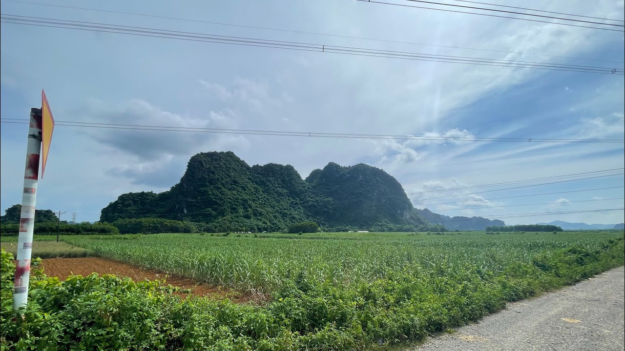 Hành trình bỏ phố về quê khởi nghiệp nuôi gà- 8 năm và 8 chuồng gà thả vườn cực xịn