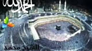 سورة المعارج،، الشيخ محمد المحيسني