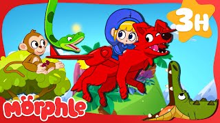 Morphle and Mila's Jungle Safari! 🐒 | Morphle's Family | My Magic Pet Morphle | Kids Cartoons