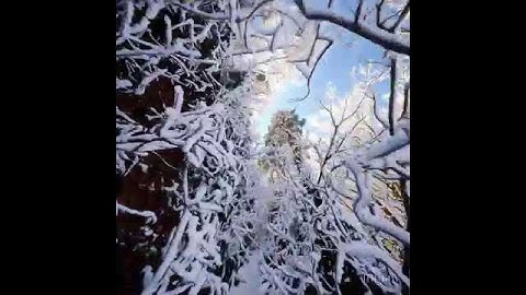 Winter #sora #aiart  #airevolution #futureofai #trendingnow #ai #trend #video #aicontent #viralvideo