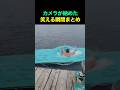 カメラが納めた笑える瞬間まとめ😂