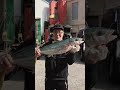 제주데빌 낚시 여행 추억사진 🎣🐟🦑🚍👍👏👏👏👏👏